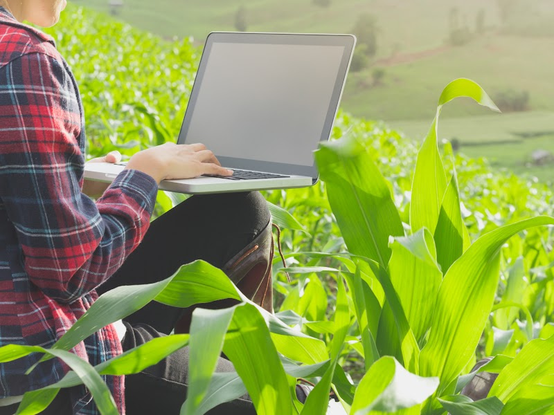 The Top 11 Agriculture Courses to Boost Your Farming Knowledge