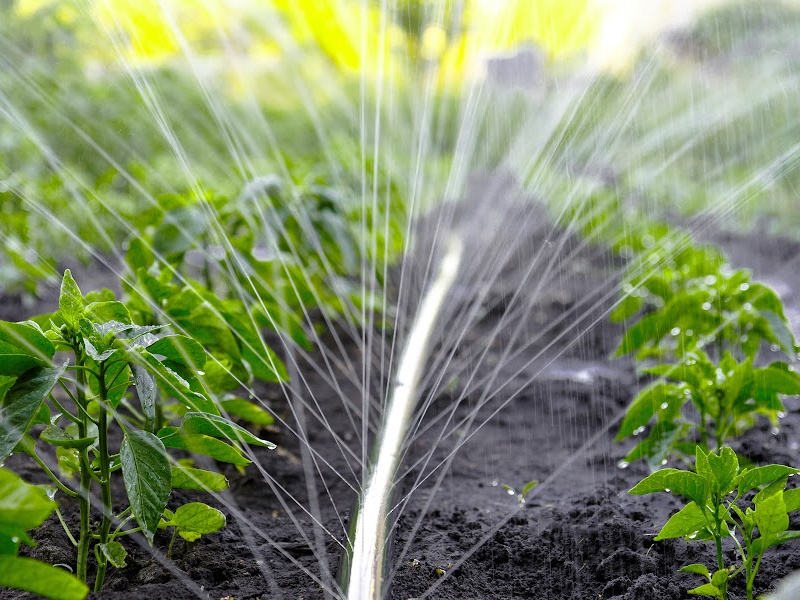 Ultimate Guide To Irrigation Systems In South Africa