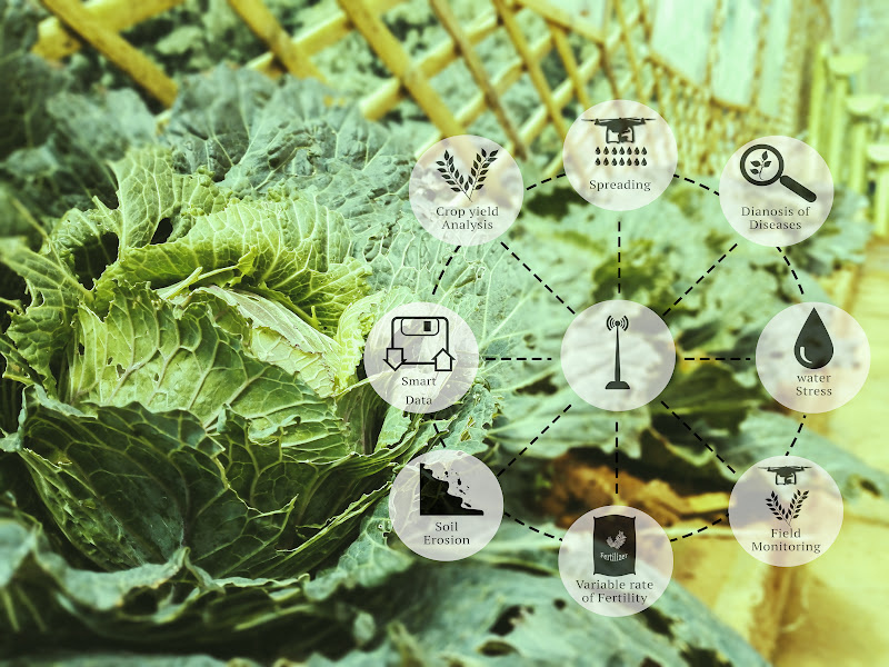 Precision Farming: Revolutionizing Agriculture With Data And Technology