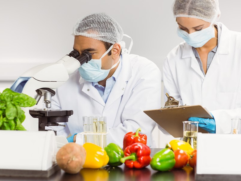 Food Safety Management Plan: What is it?