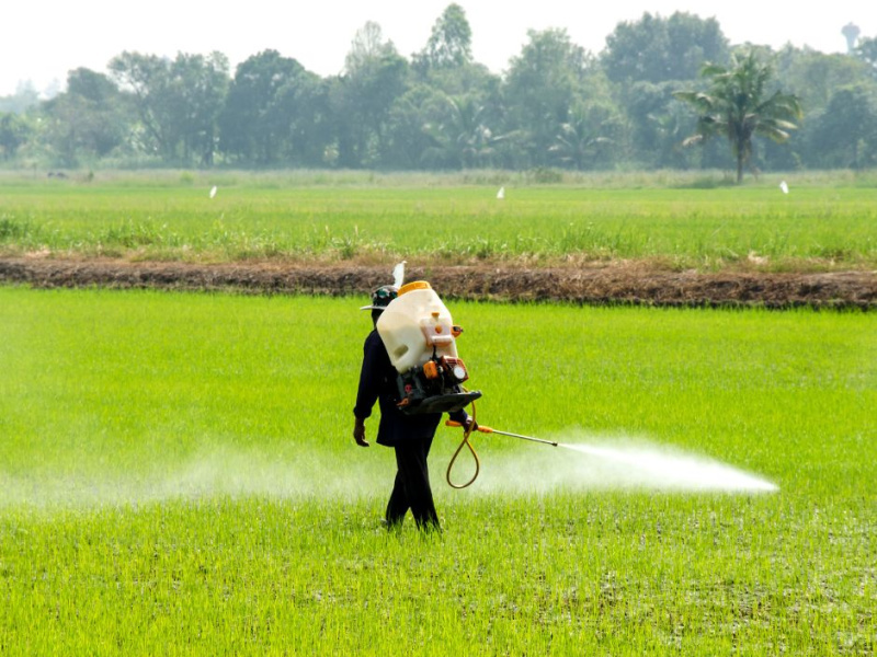 Making Use of a Backpack Sprayer In Agriculture and Gardening