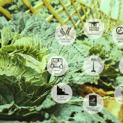 Precision Farming: Revolutionizing Agriculture With Data And Technology