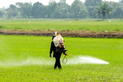 Making Use of a Backpack Sprayer In Agriculture and Gardening